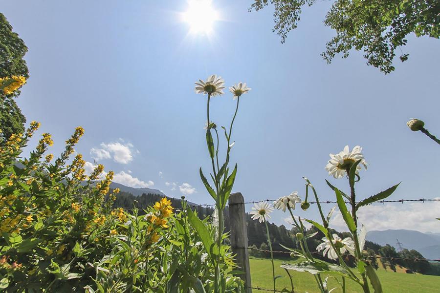 Ferienwohnung Schwalbenwandblick Saalfelden am Steinernen Meer Kültér fotó